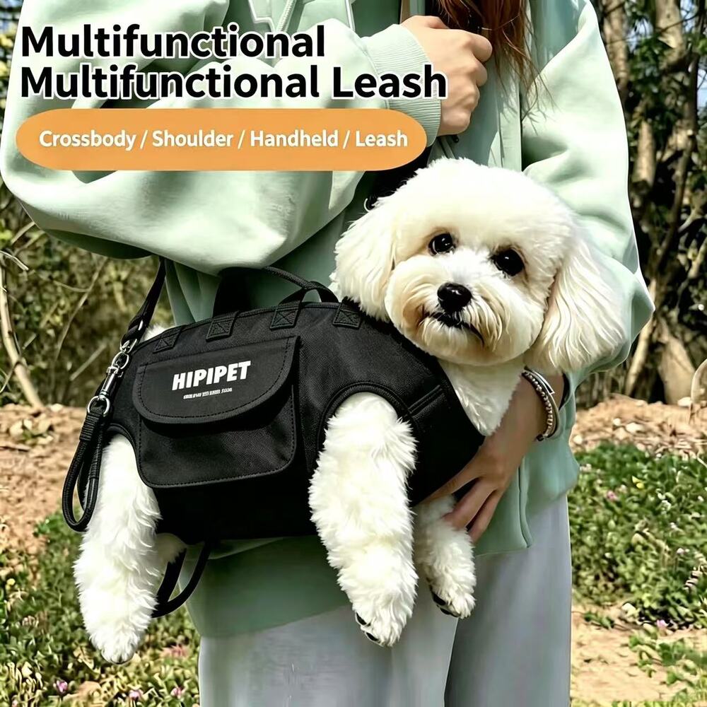 Cartoon Pet Sling Bag with Convertible Leash, Shoulder Crossbody for Small Dogs
